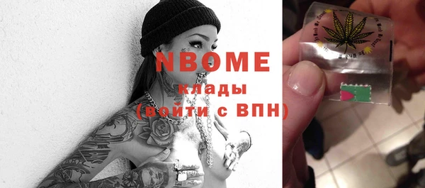 шишки Арсеньев