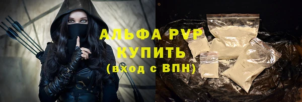 шишки Арсеньев