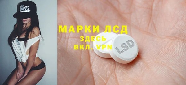 шишки Арсеньев