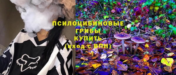 spice Аркадак
