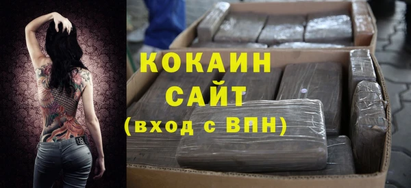 шишки Арсеньев