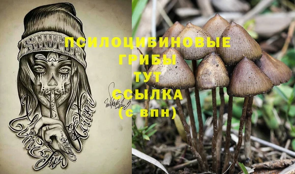 амф Алзамай